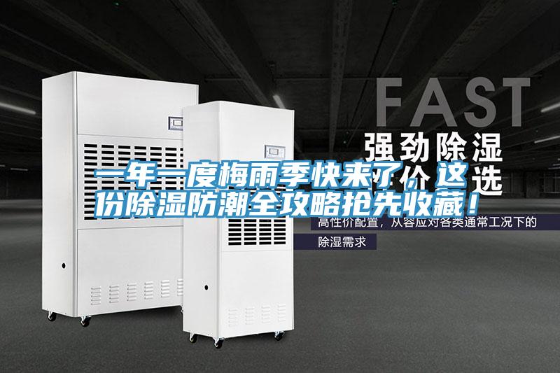 一年一度梅雨季快來了，這份除濕防潮全攻略搶先收藏！