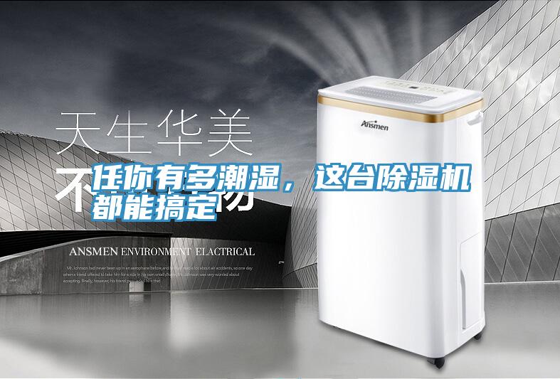 任你有多潮濕，這臺除濕機都能搞定