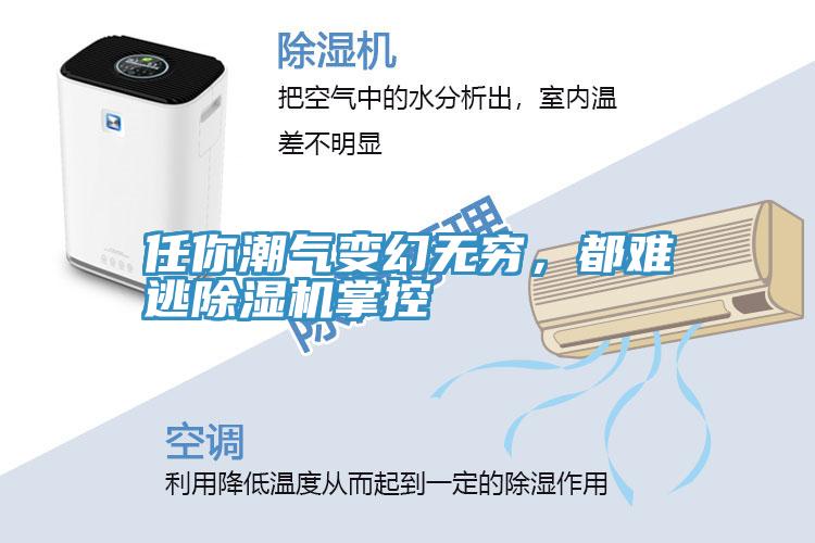 任你潮氣變幻無窮，都難逃除濕機掌控