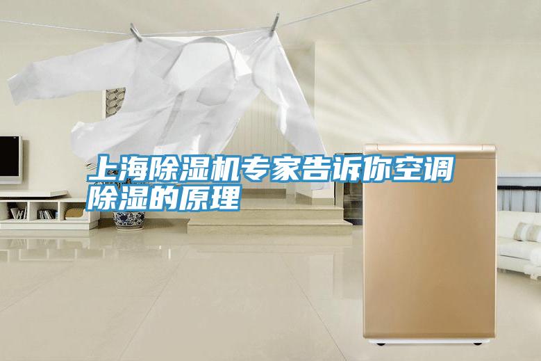 上海除濕機專家告訴你空調(diào)除濕的原理