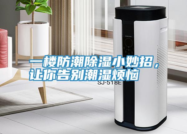 一樓防潮除濕小妙招，讓你告別潮濕煩惱