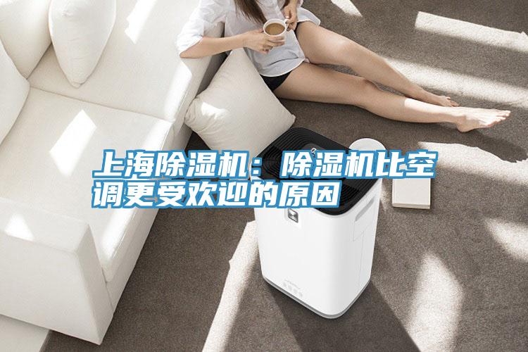 上海除濕機：除濕機比空調(diào)更受歡迎的原因