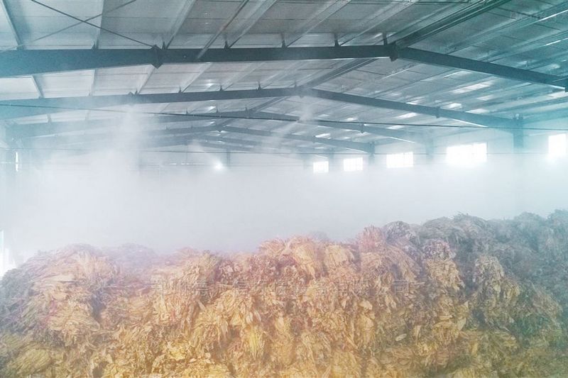 提升煙葉加工質(zhì)量，高效回潮很重要
