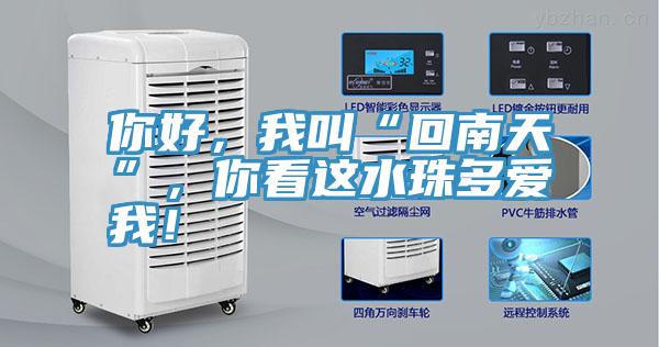 你好，我叫“回南天”，你看這水珠多愛我！