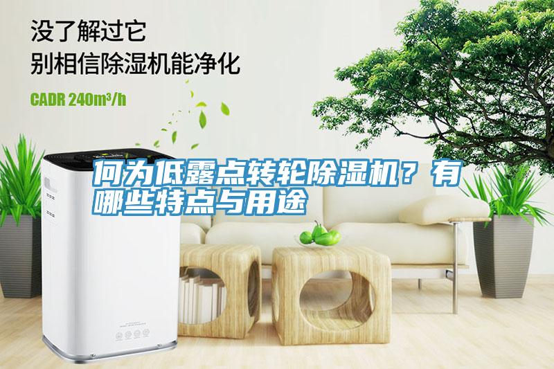 何為低露點轉(zhuǎn)輪除濕機？有哪些特點與用途