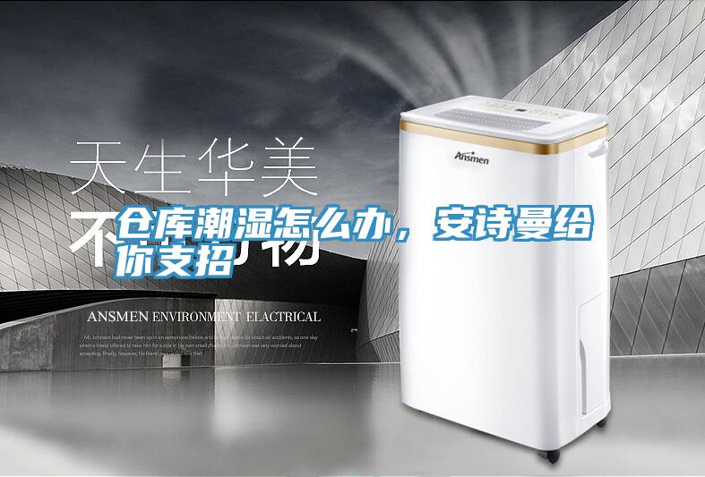 倉(cāng)庫(kù)潮濕怎么辦，安詩(shī)曼給你支招