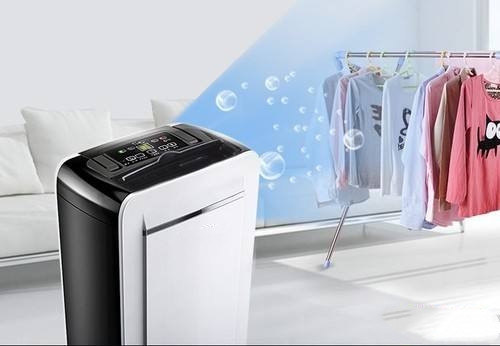 狗狗得了皮膚病，真兇竟是回南天？！