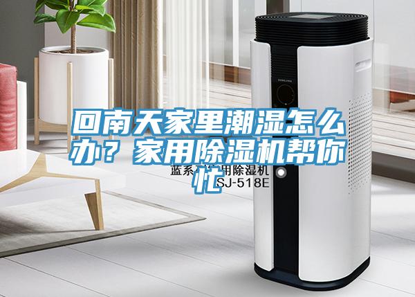 回南天家里潮濕怎么辦？家用除濕機(jī)幫你忙