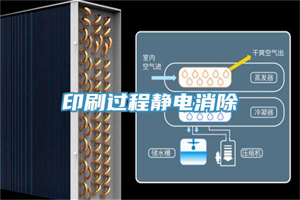 印刷過程靜電消除