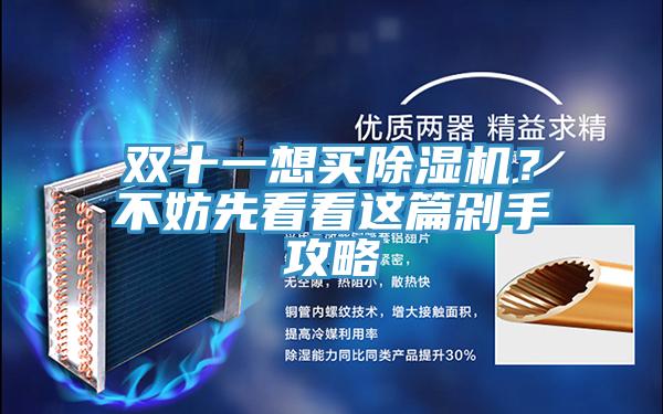 雙十一想買除濕機(jī)？不妨先看看這篇剁手攻略