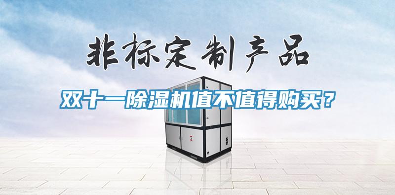 雙十一除濕機(jī)值不值得購(gòu)買？