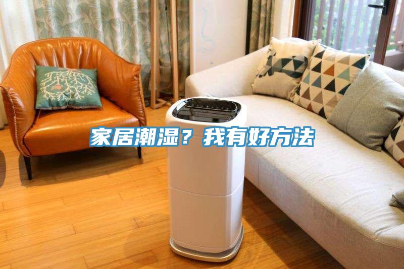 家居潮濕？我有好方法