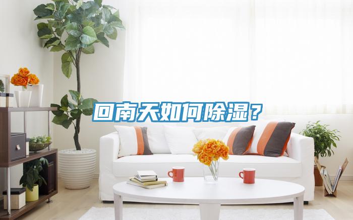 回南天如何除濕？