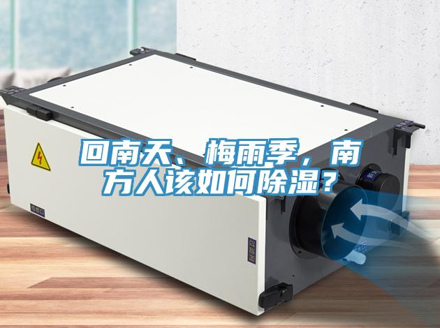 回南天、梅雨季，南方人該如何除濕？