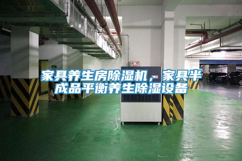 家具養(yǎng)生房除濕機(jī)，家具半成品平衡養(yǎng)生除濕設(shè)備