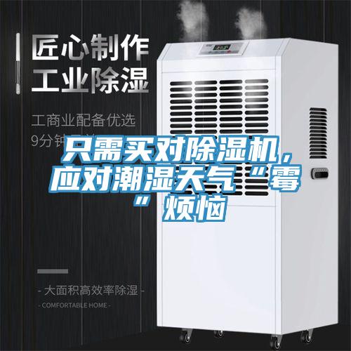 只需買對除濕機(jī)，應(yīng)對潮濕天氣“霉”煩惱