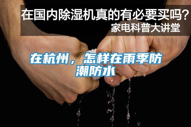 在杭州，怎樣在雨季防潮防水
