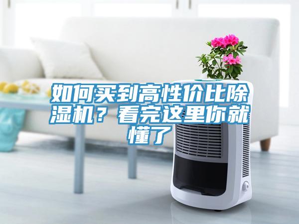 如何買到高性價比除濕機？看完這里你就懂了