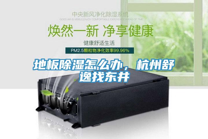 地板除濕怎么辦，杭州舒逸找東井