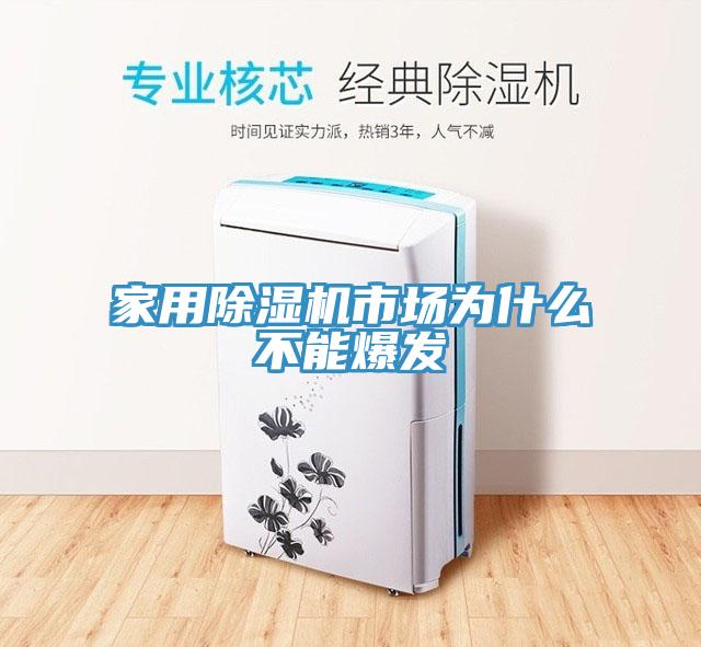 家用除濕機市場為什么不能爆發(fā)