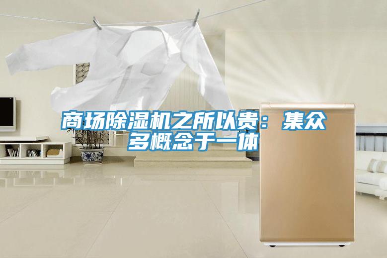 商場除濕機(jī)之所以貴：集眾多概念于一體