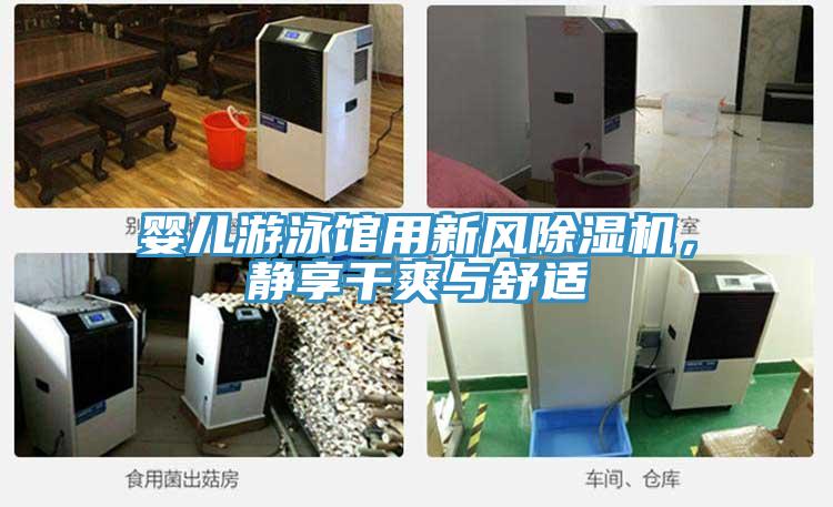 嬰兒游泳館用新風(fēng)除濕機，靜享干爽與舒適