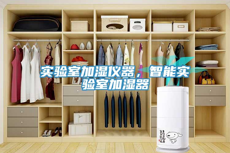 實(shí)驗(yàn)室加濕儀器，智能實(shí)驗(yàn)室加濕器