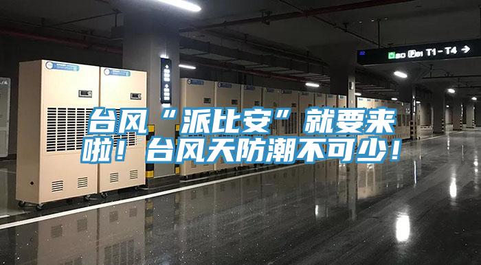 臺風(fēng)“派比安”就要來啦！臺風(fēng)天防潮不可少！