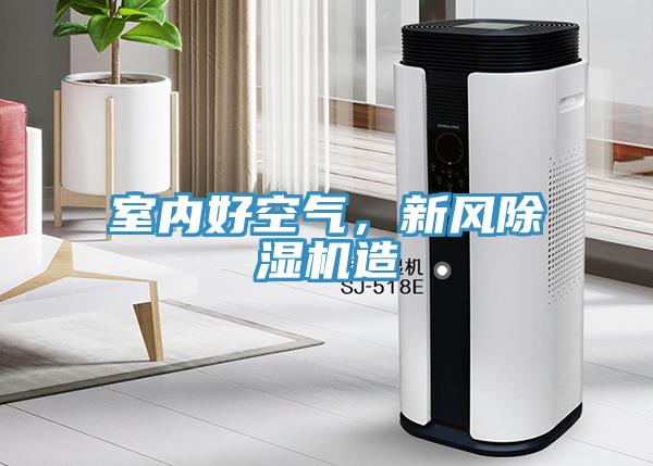 室內(nèi)好空氣，新風(fēng)除濕機(jī)造