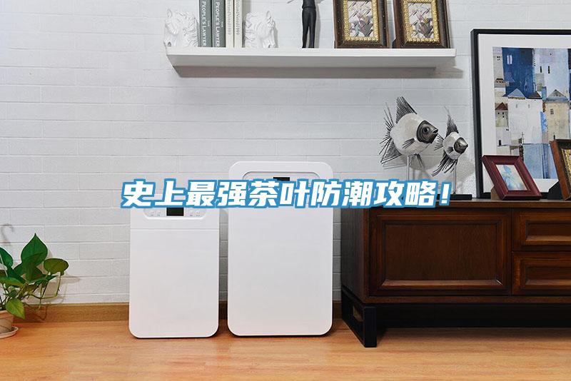 史上最強(qiáng)茶葉防潮攻略！