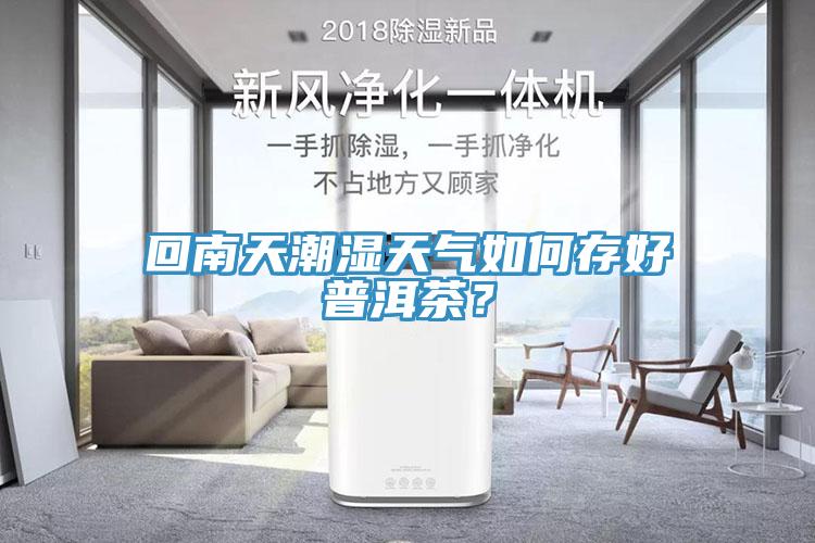 回南天潮濕天氣如何存好普洱茶？