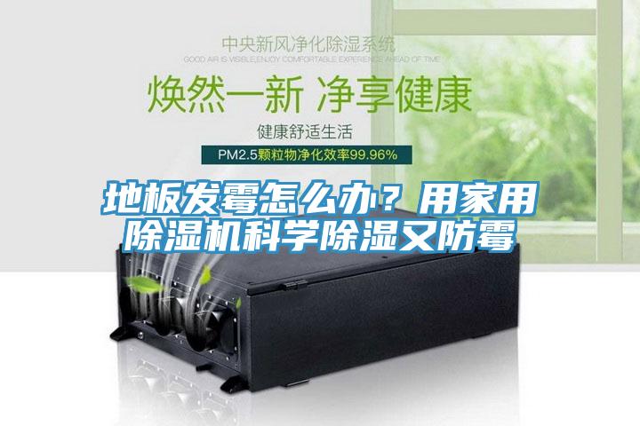 地板發(fā)霉怎么辦？用家用除濕機科學除濕又防霉