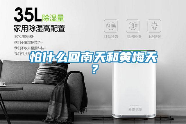 怕什么回南天和黃梅天？