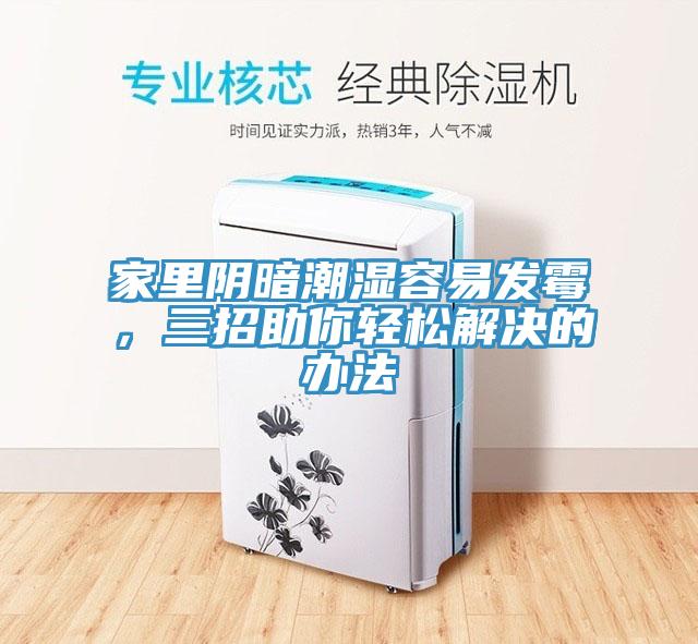 家里陰暗潮濕容易發(fā)霉，三招助你輕松解決的辦法