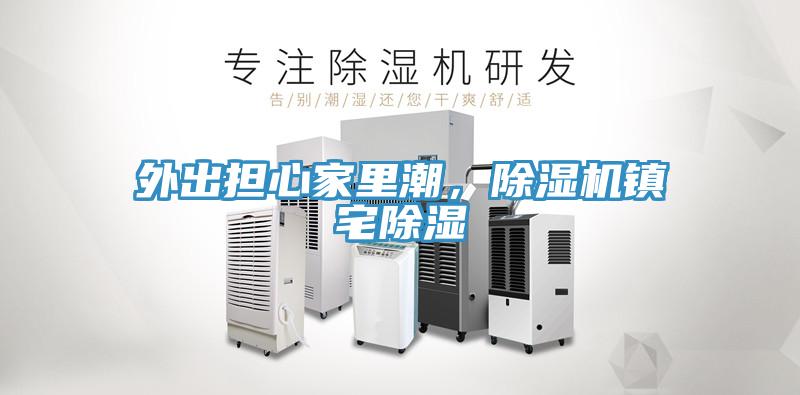 外出擔心家里潮，除濕機鎮(zhèn)宅除濕