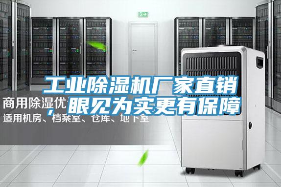 工業(yè)除濕機(jī)廠家直銷，眼見(jiàn)為實(shí)更有保障