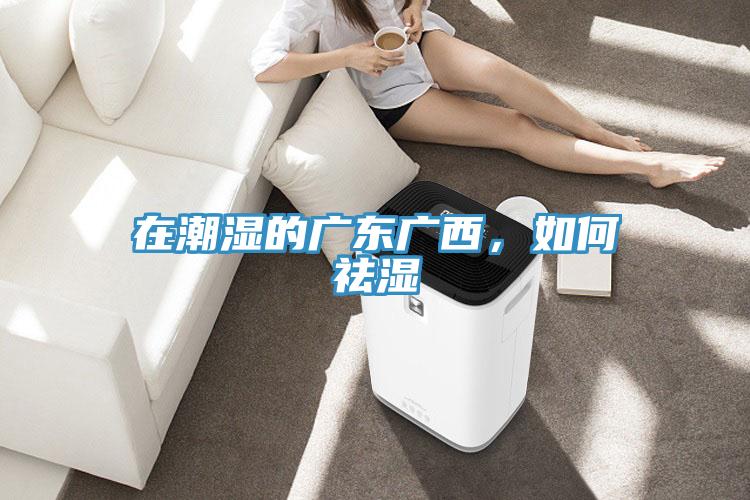 在潮濕的廣東廣西，如何祛濕