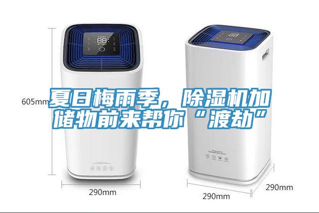 夏日梅雨季，除濕機加儲物前來幫你“渡劫”