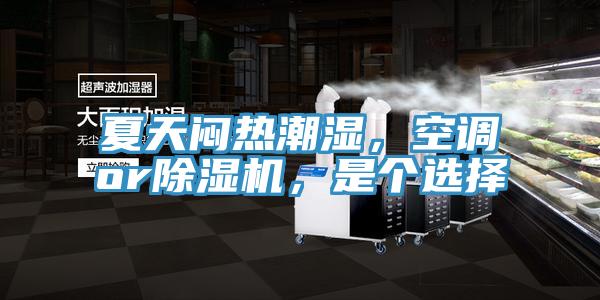 夏天悶熱潮濕，空調or除濕機，是個選擇