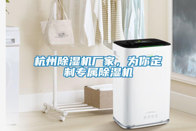 杭州除濕機廠家，為你定制專屬除濕機