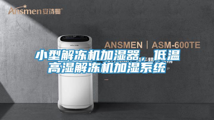 小型解凍機(jī)加濕器，低溫高濕解凍機(jī)加濕系統(tǒng)