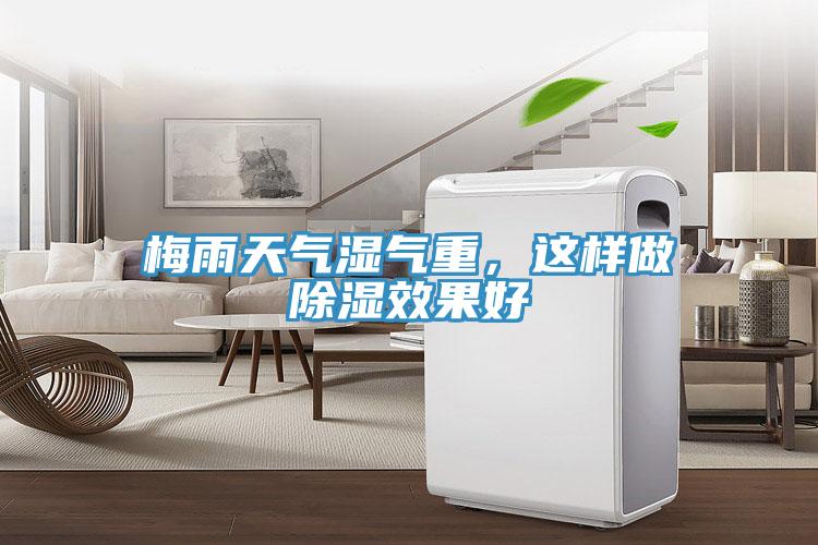 梅雨天氣濕氣重，這樣做除濕效果好