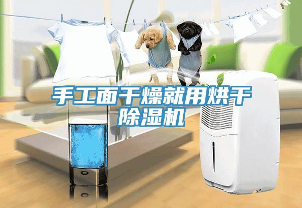 手工面干燥就用烘干除濕機