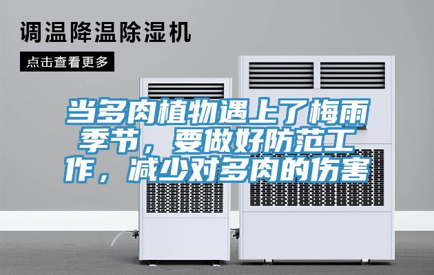 當(dāng)多肉植物遇上了梅雨季節(jié)，要做好防范工作，減少對(duì)多肉的傷害