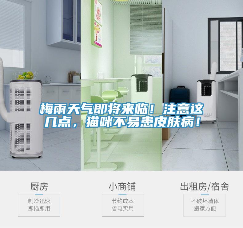 梅雨天氣即將來臨！注意這幾點(diǎn)，貓咪不易患皮膚??！