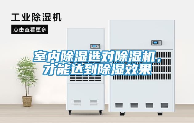 室內(nèi)除濕選對(duì)除濕機(jī)，才能達(dá)到除濕效果