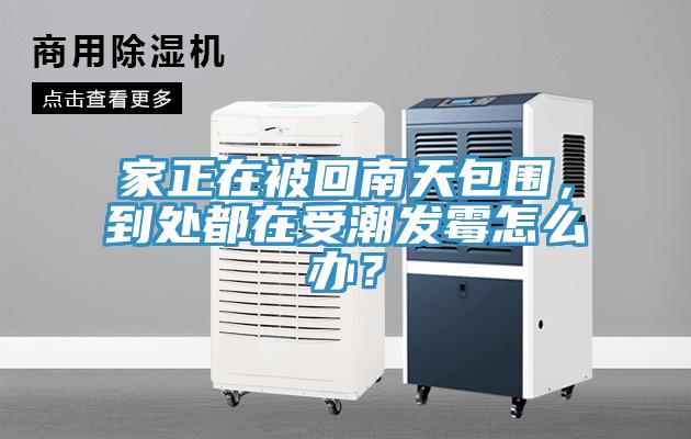 家正在被回南天包圍，到處都在受潮發(fā)霉怎么辦？