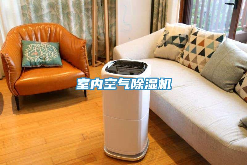 室內(nèi)空氣除濕機