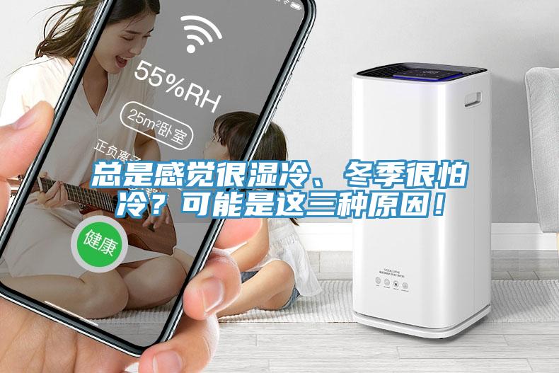 總是感覺很濕冷、冬季很怕冷？可能是這三種原因！