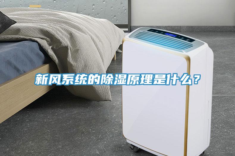新風(fēng)系統(tǒng)的除濕原理是什么？